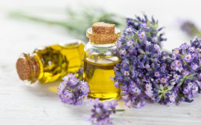 Konzentrationsmangel, ADHS, ADS und Ätherische Öle – „Konzentriert läuft’s wie geschmiert“ in Koblenz