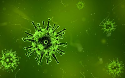 Wie gefährlich ist das Coronavirus?