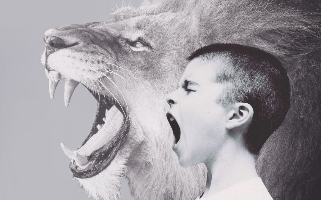 Mein Kind wird oft wütend, was kann ich tun? Entwicklung von Emotionsregulation bei Wut und Aggression – Kinder und Jugendliche in Koblenz